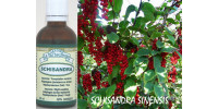 SCHISANDRA, Organic tincture, Schisandra chinensis